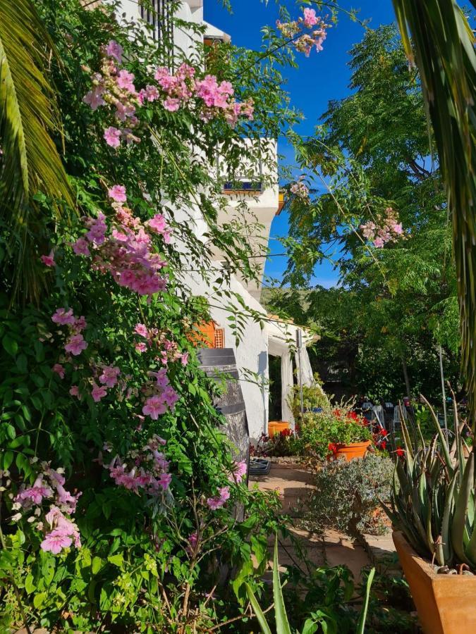 이즈나얄 Cortijo La Haza B&B 외부 사진
