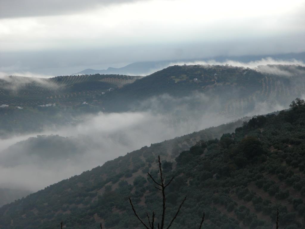 이즈나얄 Cortijo La Haza B&B 외부 사진